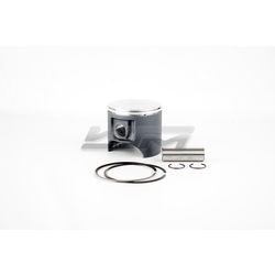 Piston Kit: Polaris 700 00-04 Standard Platinum