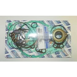 Complete Gasket Kit: Polaris 1200 99-00 Carb