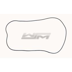 Air Filter Cover O-Ring: Kawasaki 1200 / 1500 03-21