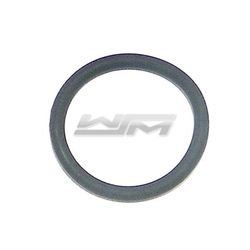 Dipstick O-Ring: Sea-Doo 900 14-22