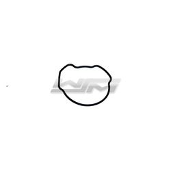 Oil Pump Housing O-Ring: Kawasaki 1200 / 1500 03-21