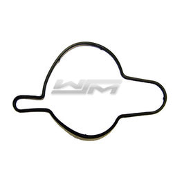 Oil Pump Housing O-Ring: Sea-Doo 1503 Supercharged 4-Tec 04-05