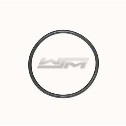 Oil Pump O-Ring: Sea-Doo 900 14-22