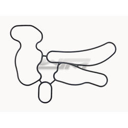 Oil Pump O-Ring: Yamaha 1100 05-08