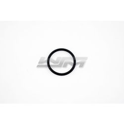 Thermostat O-Ring: Sea-Doo 900 14-22