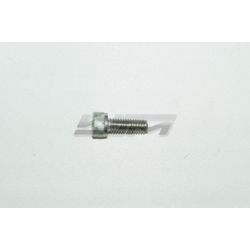 Bolt, Socket Cap: 6mm x 16mm Stainless