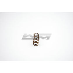 Power Valve Spring: Sea-Doo 951 DI 00-07