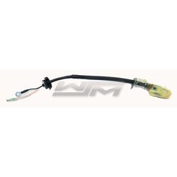 Temperature Sensor; Yamaha 1200 97-05