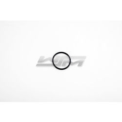 Carrier O-Ring: Sea-Doo 720 - 1630 97-22