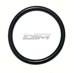 Support Ring O-Ring: Sea-Doo 900 / 1503 / 1630 04-22