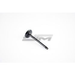 Exhaust Valve: Sea-Doo 1503 / 1630 4-Tec 02-22