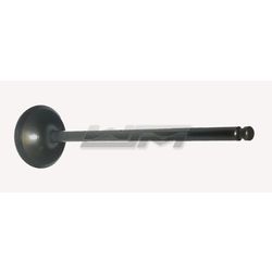 Intake Valve: Yamaha 1000 / 1100 02-15