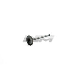 Intake Valve: Sea-Doo 900 14-22
