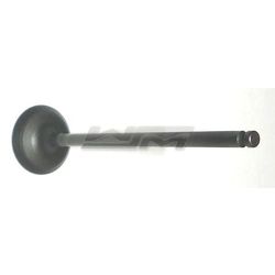 Intake Valve: Yamaha 1000 / 1100 02-15