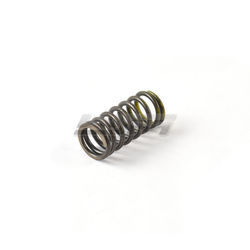 Valve Spring, Inner: Sea-Doo 1503 / 1630 4-Tec 02-22